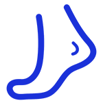 Scientific Foundation