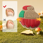 EBMINI BADGE shoes with a soft padded ankle collar